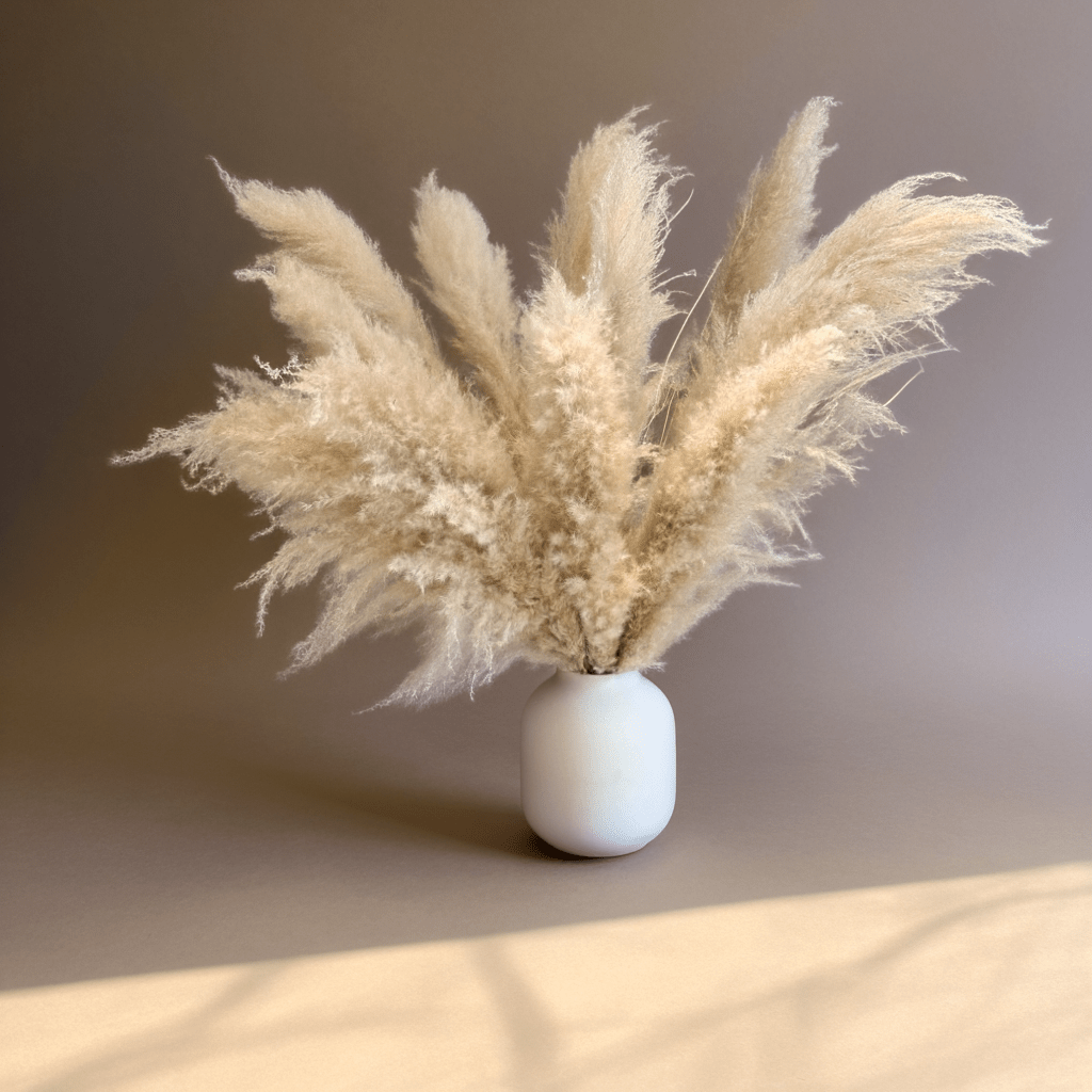 Tall Pampas - 78cm - Elysium Decor
