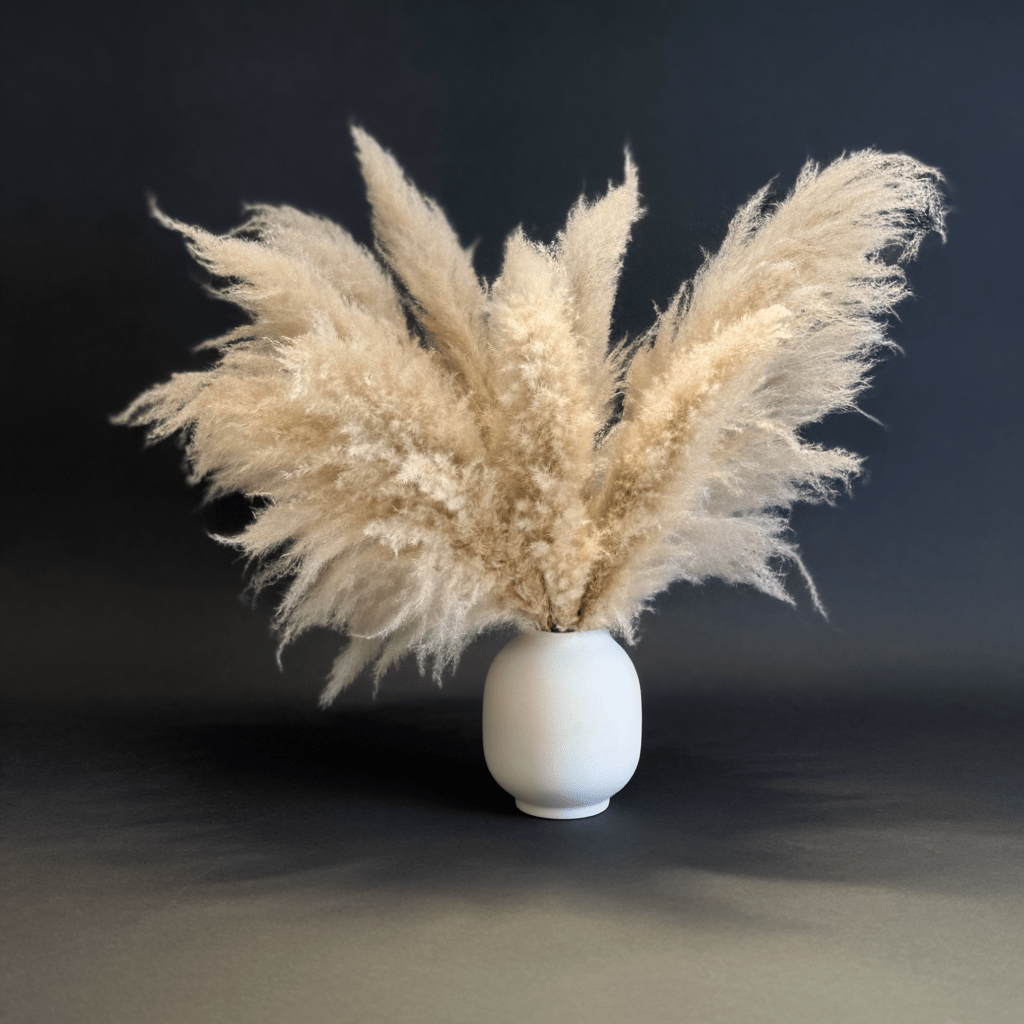 Tall Pampas - 78cm - Elysium Decor